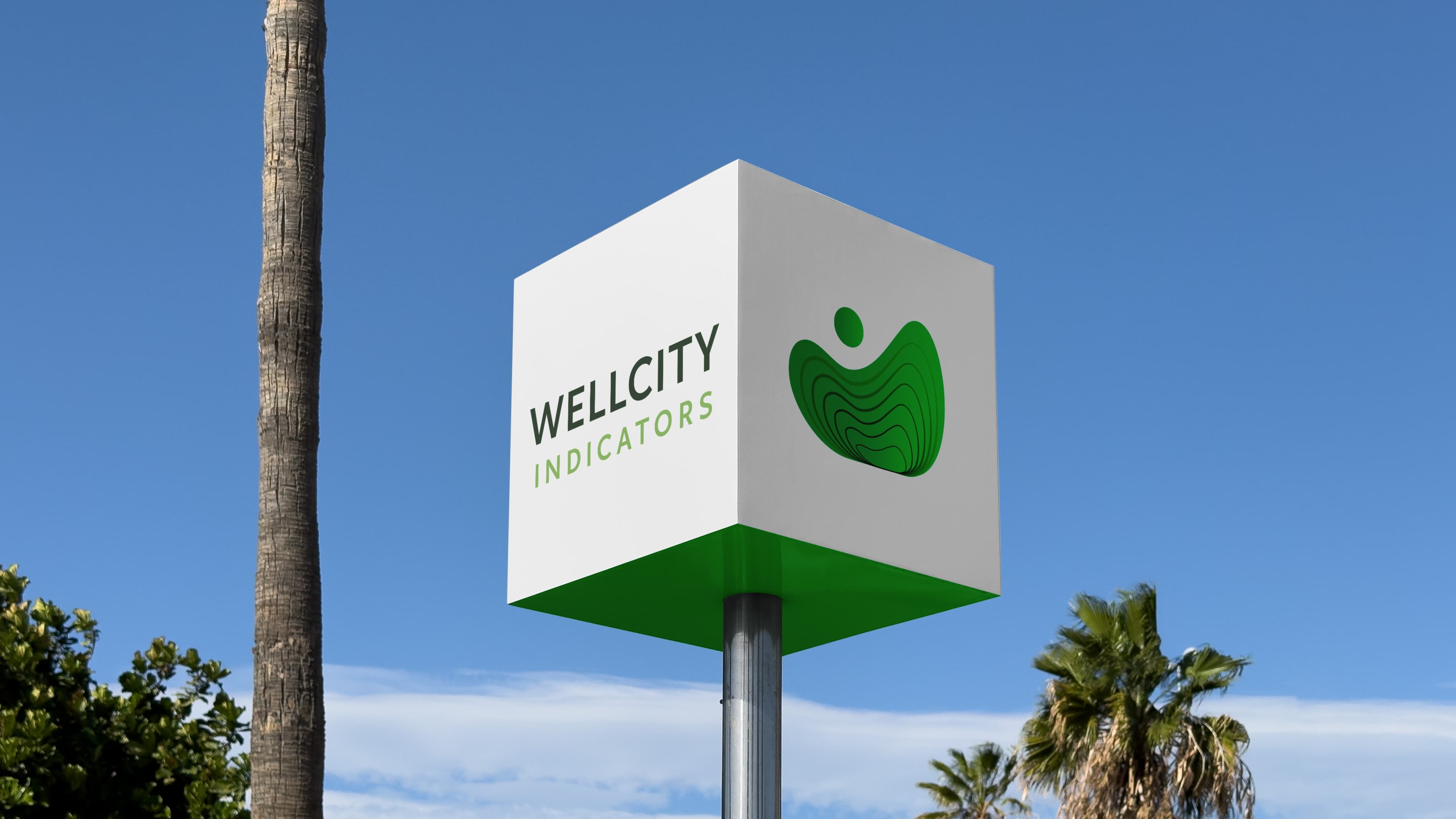 Wellcity Brand 15