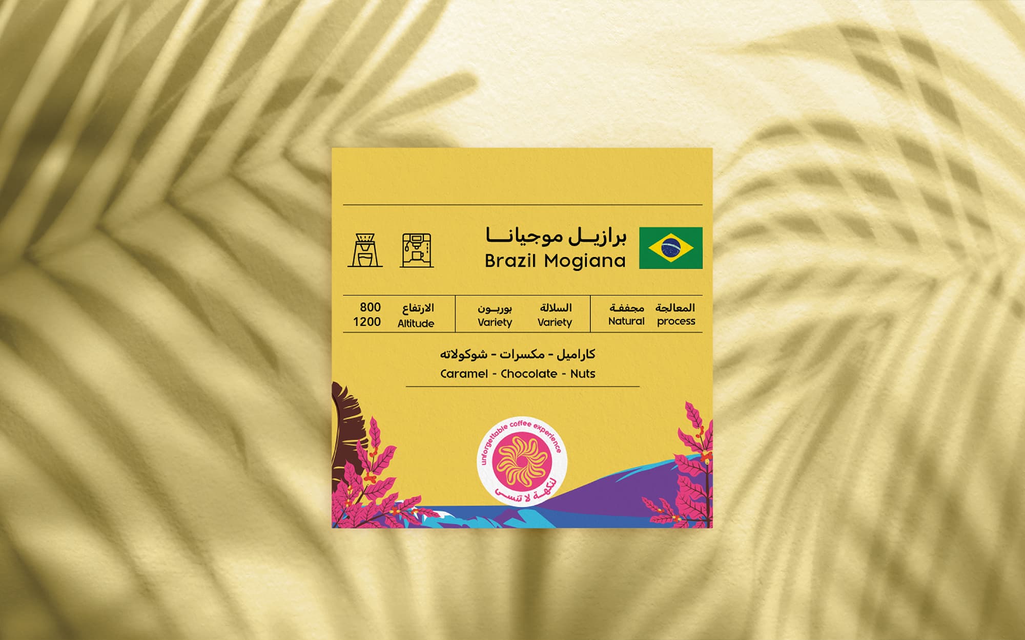 WAREQA Identity 26