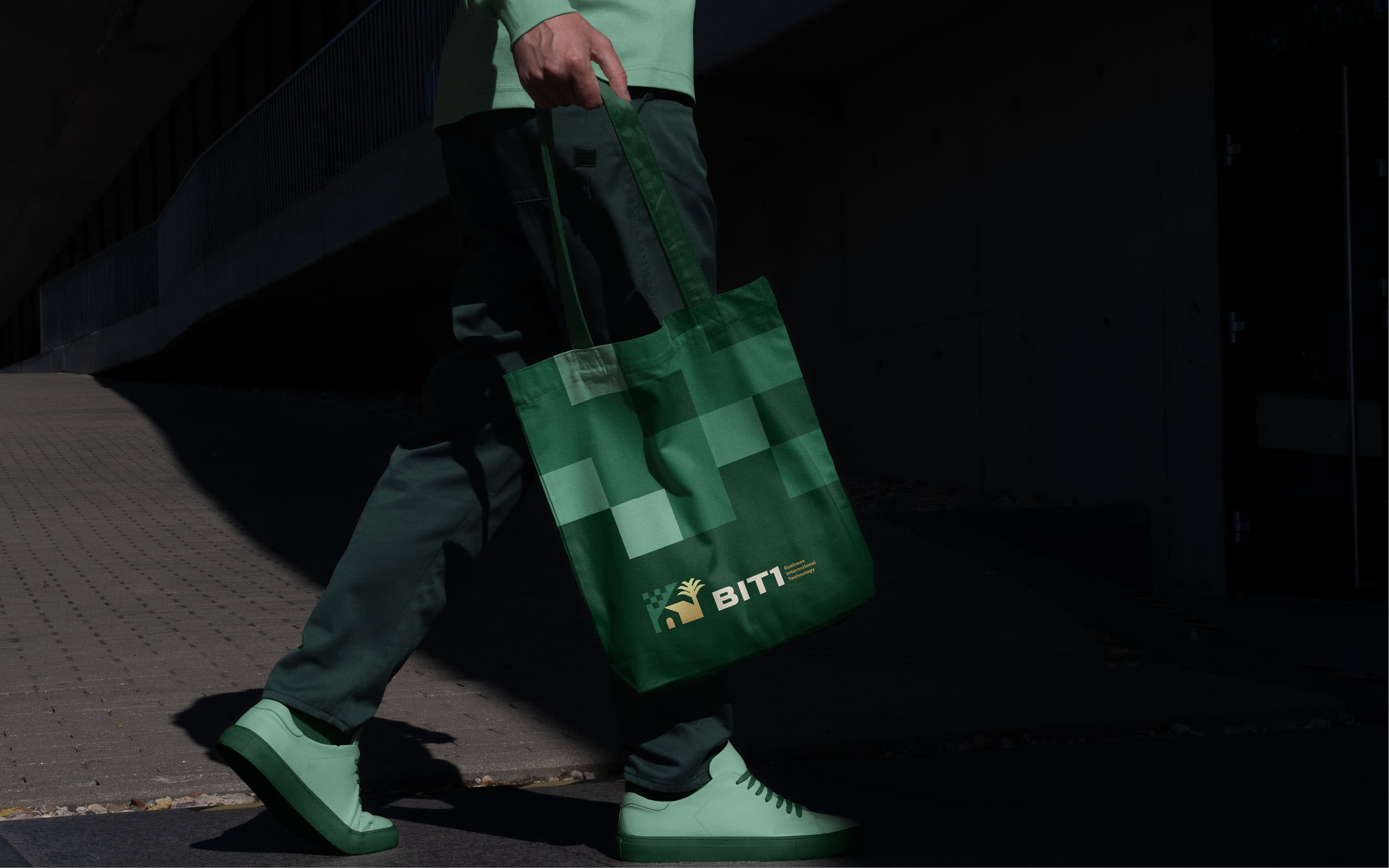BIT1 6