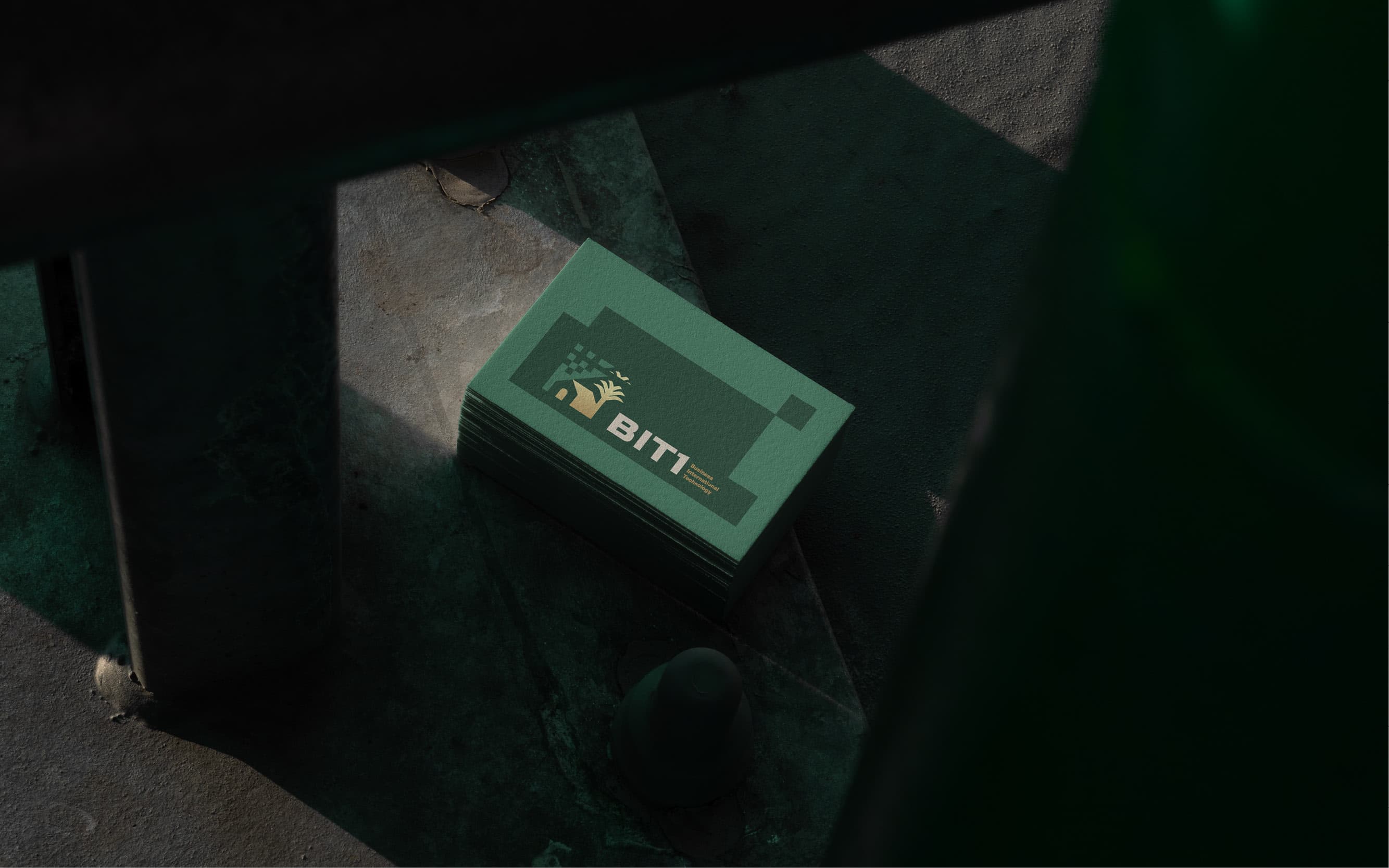 BIT1 12