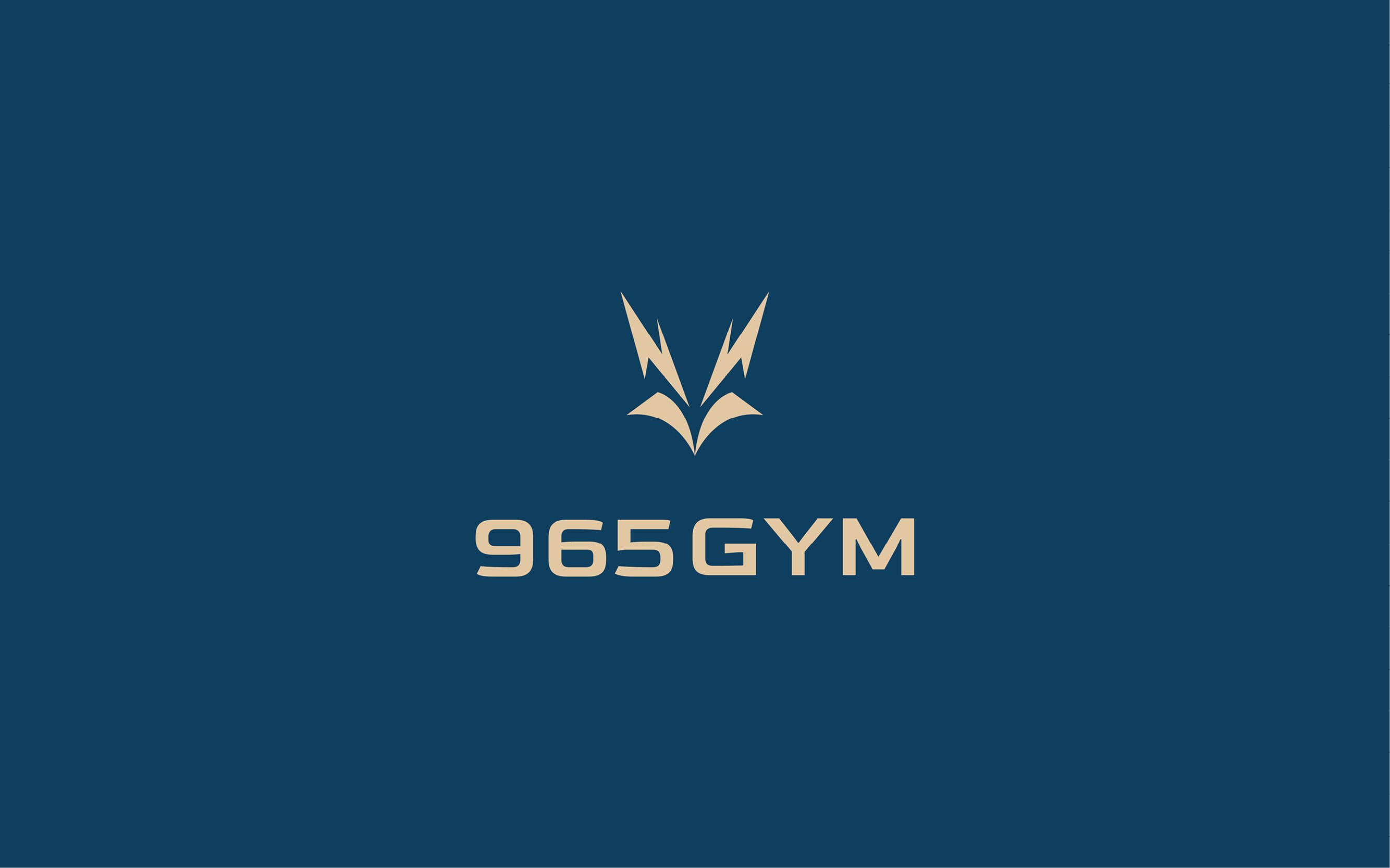 965 GYM 1