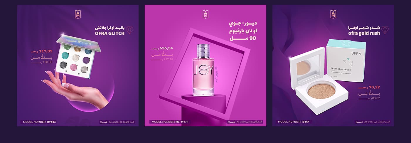 Project AM-ELEGANT 5